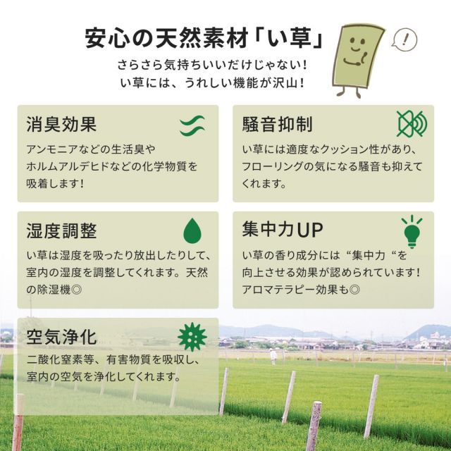 スーパSALE10倍＆4時間限定10％OFF 国産い草カーペット 琥珀 江戸間 4.5帖（261×261）