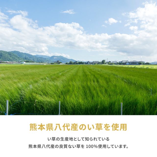 スーパSALE10倍＆4時間限定10％OFF 国産い草カーペット 琥珀 本間 3帖（191×286）