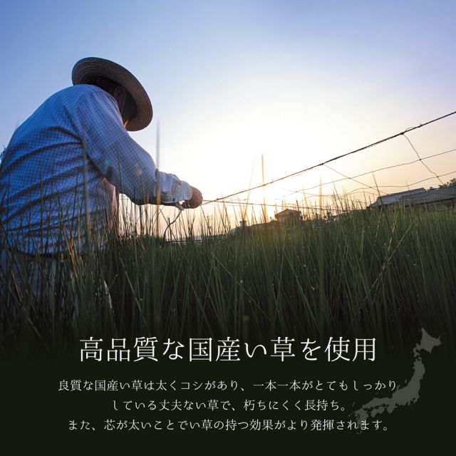 スーパSALE10倍＆4時間限定10％OFF 国産い草ラグ（裏貼り） エルモード  191×191cm