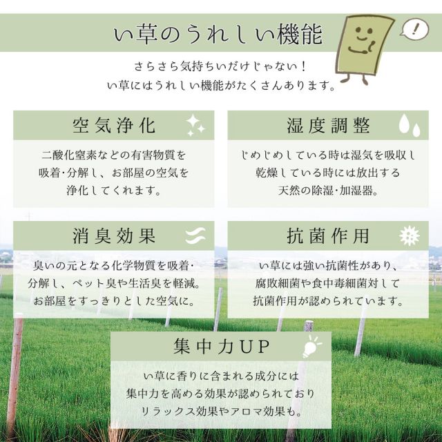 スーパSALE10倍＆4時間限定10％OFF 国産い草ラグ（裏貼り） 吉兆（きっちょう）  191×191cm