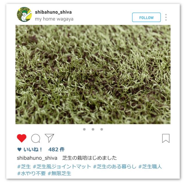 スーパSALE10倍＆4時間限定10％OFF 芝生風ジョイントマット シーヴァ 36枚セット 60×60×0.8cm