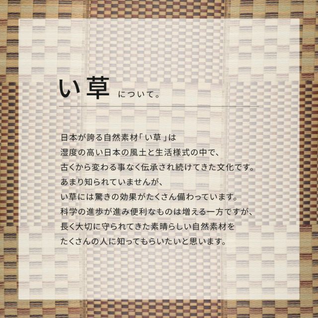 スーパSALE10倍＆4時間限定10％OFF 収納簡単 い草ふっくらラグ キハチ 180×240cm