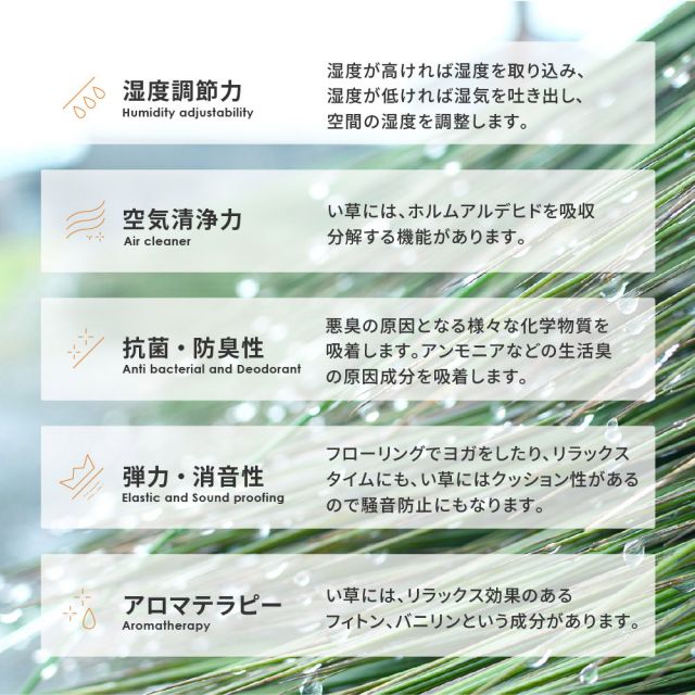 スーパSALE10倍＆4時間限定10％OFF 収納簡単 い草ふっくらラグ クレパス 180×240cm