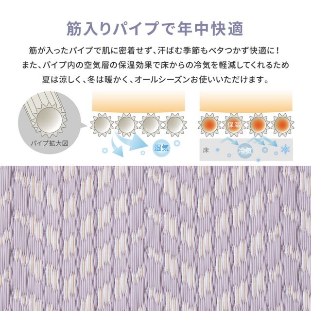 スーパSALE10倍＆4時間限定10％OFF 洗えるい草風カーペット パスラッシュ 江戸間 8畳（348×352）