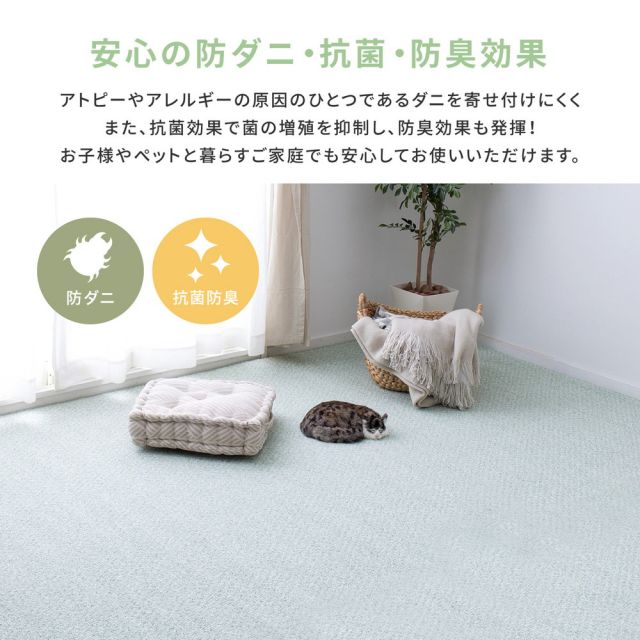 スーパSALE10倍＆4時間限定10％OFF 防炎・撥水付き国産高機能カーペット 江戸間 6帖（261×352）