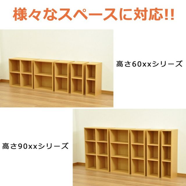 スーパSALE10倍＆4時間限定10％OFF ニュープレージ 収納BOX/ミドルタイプ 幅25×奥行29×高さ60cm
