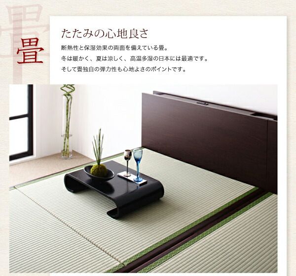 スーパSALE10倍＆4時間限定10％OFF 畳ベッド ベッド マットレス ベッドマットレス ベッドマット 圧縮梱包 腰 高反発 おしゃれ 布団 敷布団 抗菌 標準タイプ 縦開き・ベッドガードなし 深さレギュラー 組立設置付