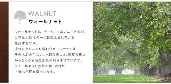 スーパSALE10倍＆4時間限定10％OFF 天然木ウォールナットモダンデザインダイニング 5点セット(テーブル+チェア4脚) W120 組立設置付