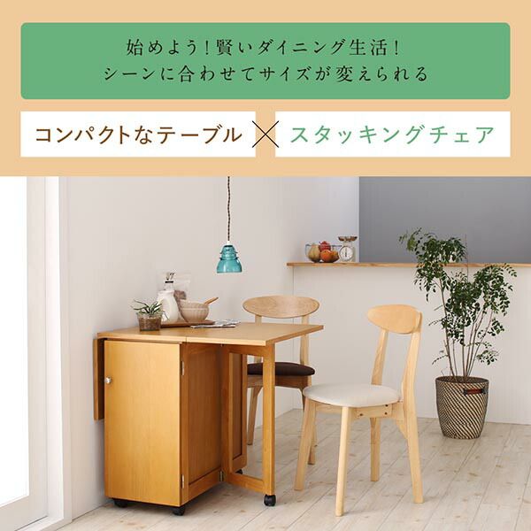 スーパSALE10倍＆4時間限定10％OFF ダイニングチェア 収納庫付き両側バタフライ天板コンパクト伸縮ダイニングシリーズ ダイニングチェア 1脚 組立設置付