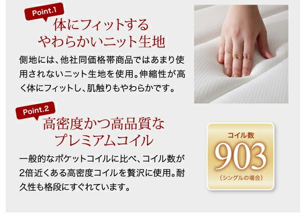 スーパSALE10倍＆4時間限定10％OFF 棚 コンセント付き 引き出し 2杯 収納 ベッド プレミアムポケットコイルマットレス付き ダブル 組立設置付