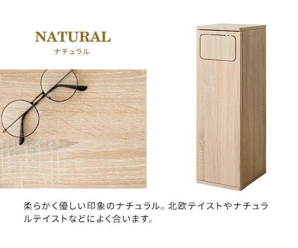 シンプルデザインのダストボックス　幅25×奥行き30×高さ80cm　45L
