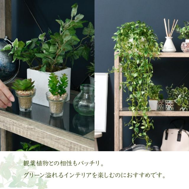 スーパSALE10倍＆4時間限定10％OFF ボタニカル 花台 鉢置き台 ラック 3段 フラワースタンド 古材 ガラス シャビ— 観葉植物 インテリア 幅60 奥行30 高さ100 オープンシェルフ MI