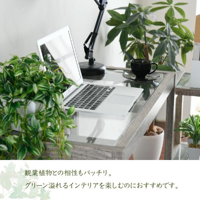 スーパSALE10倍＆4時間限定10％OFF グリーンインテリア デスク 幅90 ガラス 古材 古木 インテリア 奥行45 グリーン 観葉植物 シャビー 植物 棚 ラック おしゃれ 木製 机 pc リビング MI