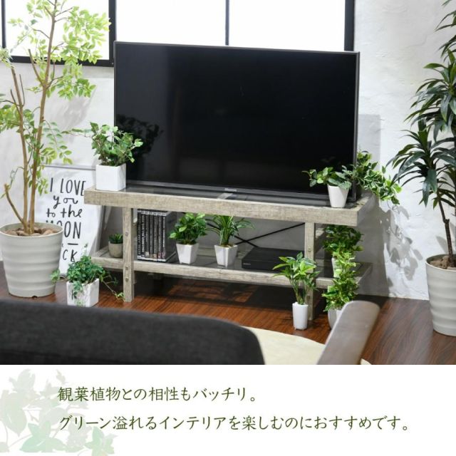 スーパSALE10倍＆4時間限定10％OFF グリーンのある暮らし テレビ台 ガラス 古材 インテリア 40インチ グリーン シャビー 多肉植物 ラック おしゃれ 鉢置き台 一人暮らし テレビボード ロータイプ MI