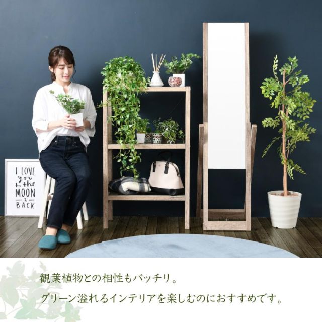 スーパSALE10倍＆4時間限定10％OFF グリーンインテリア スタンドミラー 姿見 ガラス インテリア グリーン 観葉植物 シャビー 多肉植物 棚 ラック おしゃれ シンプル 一人暮らし 木製 古材 MI