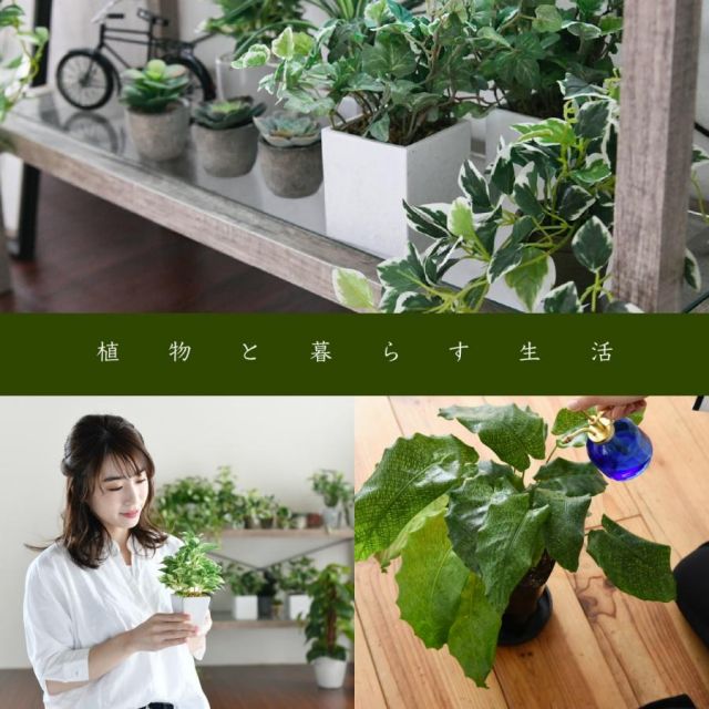 スーパSALE10倍＆4時間限定10％OFF グリーンインテリア スタンドミラー 姿見 ガラス インテリア グリーン 観葉植物 シャビー 多肉植物 棚 ラック おしゃれ シンプル 一人暮らし 木製 古材 MI