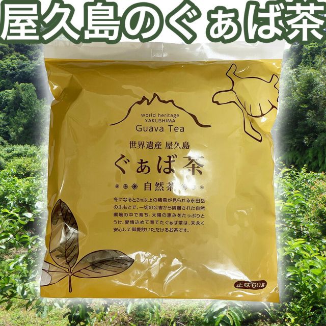 ぐぁば茶 60g グァバ茶100％ 屋久島産 シジュウム茶 シジウム茶 日本製 グアバ ガァバ茶 ガバ茶