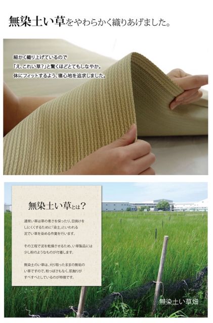 スーパSALE10倍＆4時間限定10％OFF 医師との共同開発 い草寝具 『アスク 汗取P』 シングル 約100×200cm