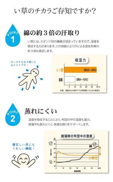 スーパSALE10倍＆4時間限定10％OFF 医師との共同開発 い草寝具 『アスク 汗取P』 シングル 約100×200cm