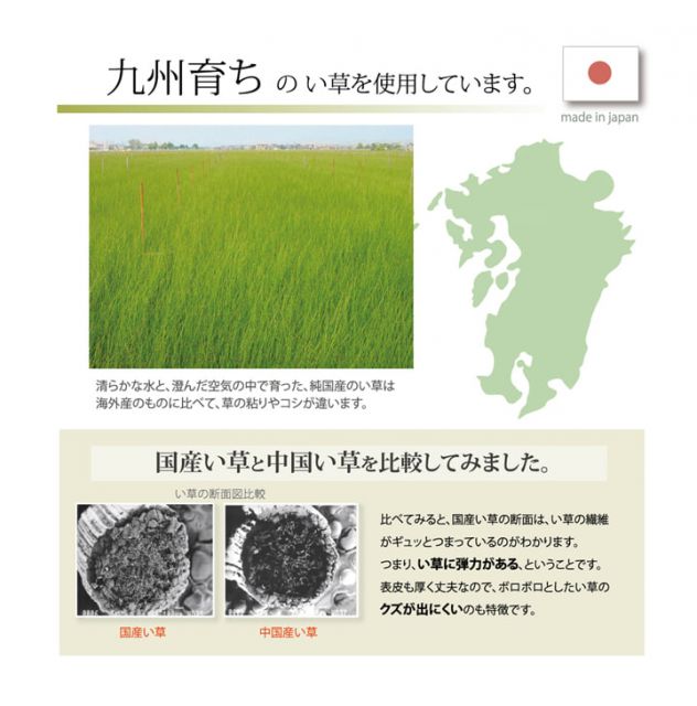 スーパSALE10倍＆4時間限定10％OFF 医師との共同開発 い草寝具 『アスク 汗取P』 シングル 約100×200cm