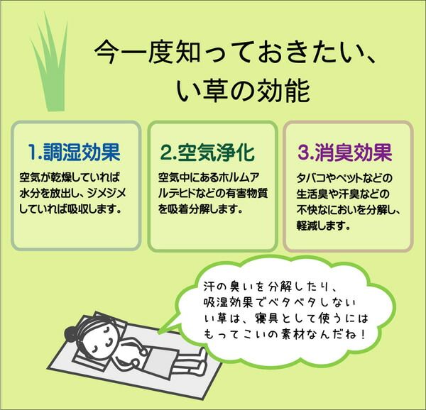 スーパSALE10倍＆4時間限定10％OFF 医師との共同開発 い草寝具 『アスク ベビー汗取P』 約70×120cm
