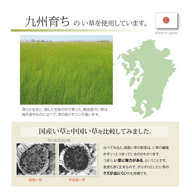スーパSALE10倍＆4時間限定10％OFF 医師との共同開発 い草寝具 『アスク ベビーマット』 約70×120cm（中:固わた15mm）