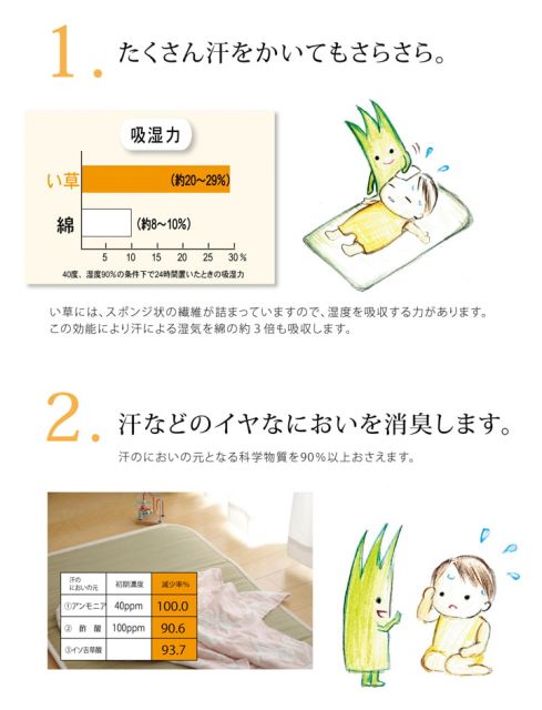 スーパSALE10倍＆4時間限定10％OFF 医師との共同開発 い草寝具 『アスク ベビーマット』 約70×120cm（中:固わた15mm）