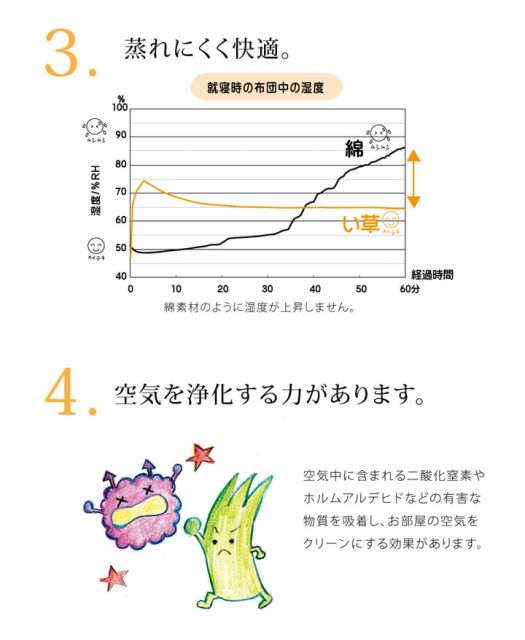 スーパSALE10倍＆4時間限定10％OFF 医師との共同開発 い草寝具 『アスク ベビーマット』 約70×120cm（中:固わた15mm）