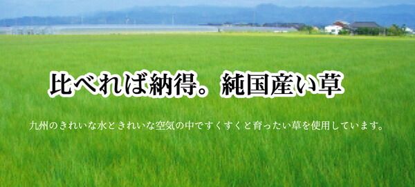 純国産 い草花ござカーペット 『アシック』 江戸間4.5畳(約261×261cm)