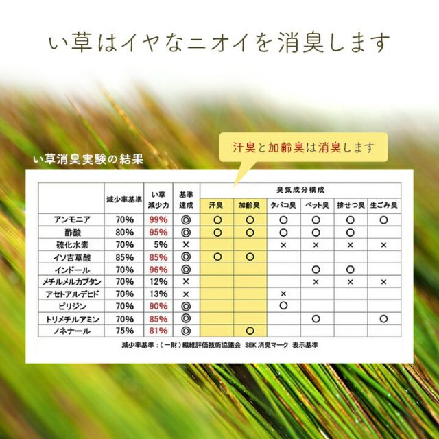 スーパSALE10倍＆4時間限定10％OFF 寝具 マットレス ベビーマット い草 医師との共同開発 吸湿 調湿効果 抗菌防臭 70×120cm