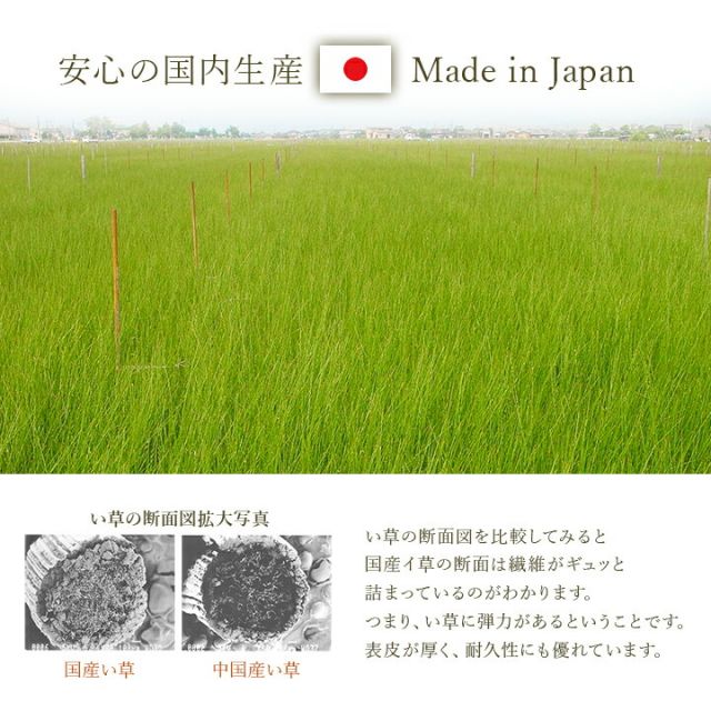 スーパSALE10倍＆4時間限定10％OFF 寝具 枕 平枕 い草 い草チップ 医師との共同開発 吸湿 調湿効果 抗菌防臭 50×30cm