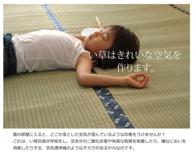 純国産 い草 上敷き カーペット 糸引織 『梅花』 六一間8畳(約370×370cm）