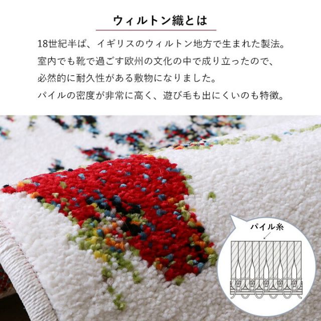 玄関 マット トルコ製 ウィルトン 織り 花柄 ボタニカル柄 上品 抗菌防臭 消臭 丈夫 へたりにくい ソファー前用 ベッドサイド用 約60×90cm