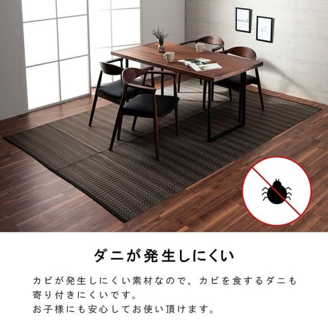 洗える カーペット ダイニング ラグ 敷詰 丈夫 日本製 国産 除菌スプレー対応 アウトドア ペット 本間2畳（約191×191cm）