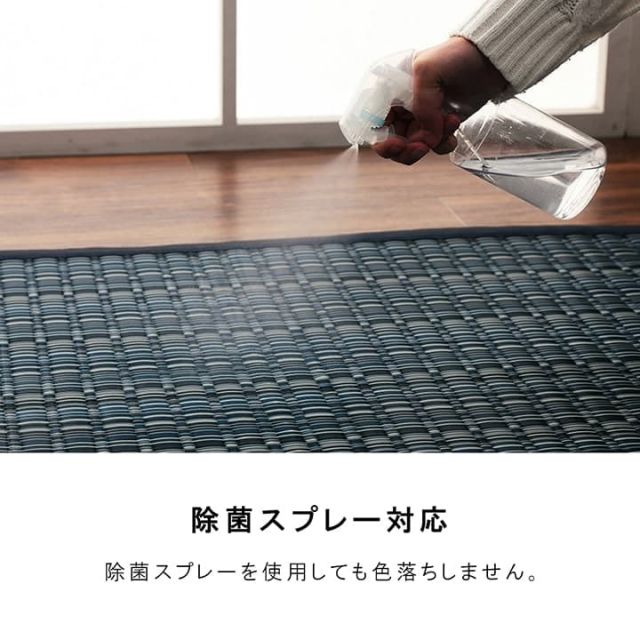 洗える カーペット ダイニング ラグ 敷詰 丈夫 日本製 国産 除菌スプレー対応 アウトドア ペット 本間6畳（約286.5×382cm）