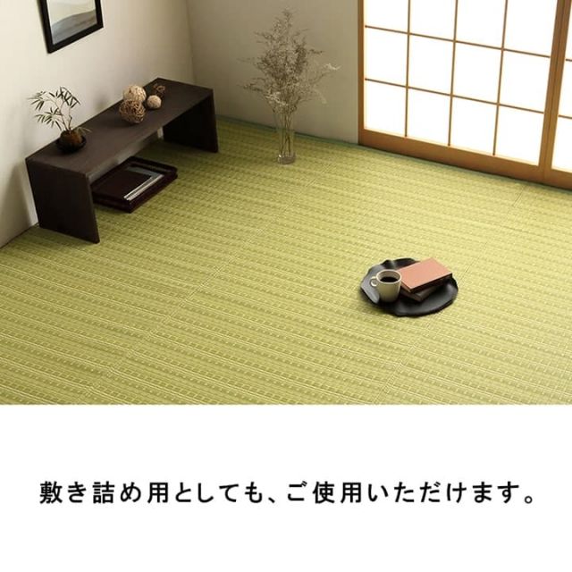 洗える カーペット ダイニング ラグ 敷詰 丈夫 日本製 国産 除菌スプレー対応 アウトドア ペット 本間6畳（約286.5×382cm）