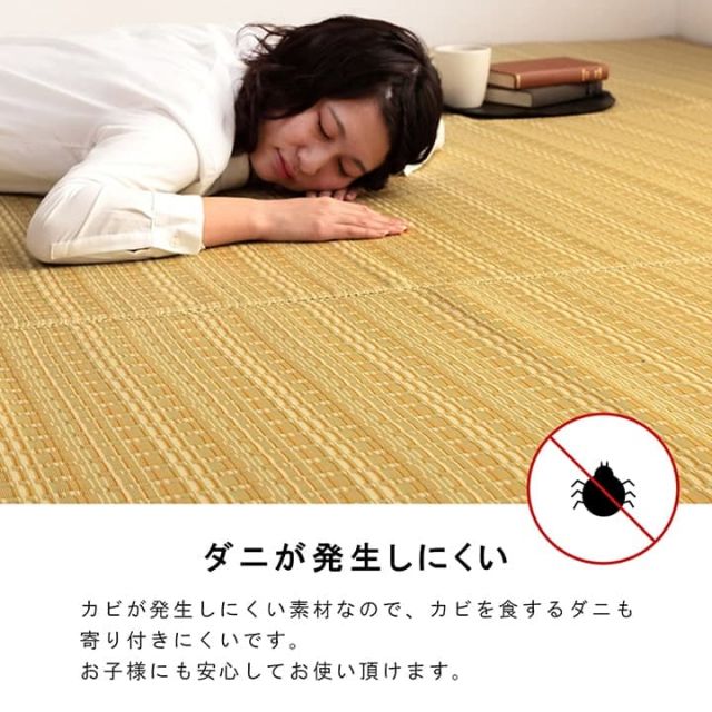 洗える カーペット ダイニング ラグ 敷詰 丈夫 日本製 国産 除菌スプレー対応 ござ アウトドア ペット 江戸間10畳（約435×352cm）