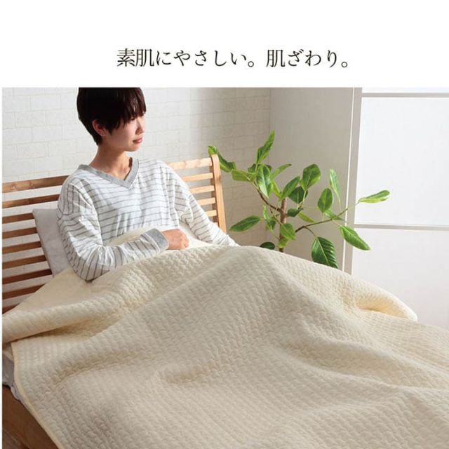 寝具 肌掛け布団 掛布団 綿 100％ イブル 洗える ギフト シングル 約140×190cm