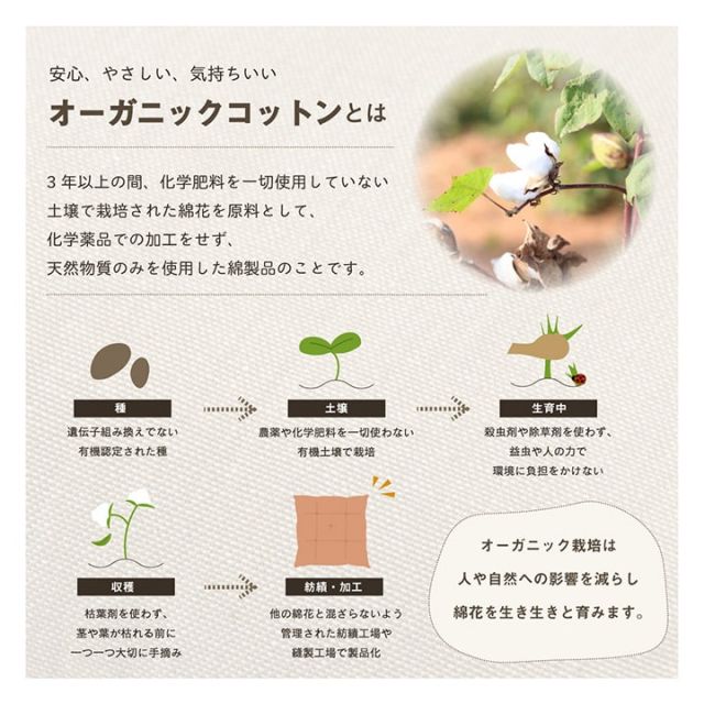 クッション シート 椅子 日本製 オーガニックコットン 綿100% 無地 洗える 約40×40cm