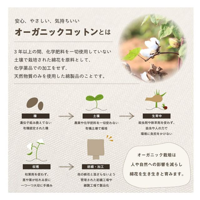 スーパSALE10倍＆4時間限定10％OFF 車用クッション カークッション クッション 低反発 オーガニック 日本製 無地 シンプル 綿100% インド綿 約40×40×4cm