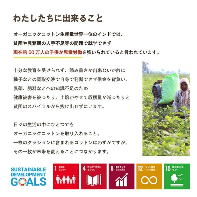 スーパSALE10倍＆4時間限定10％OFF 車用クッション カークッション クッション オーガニックコットン 日本製 無地 シンプル 綿100% 消臭 約43×43cm
