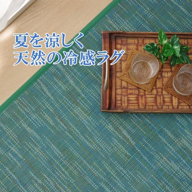 ラグ カーペット 無地 シンプル バンブー 竹 『DXフォース』 約95×150cm