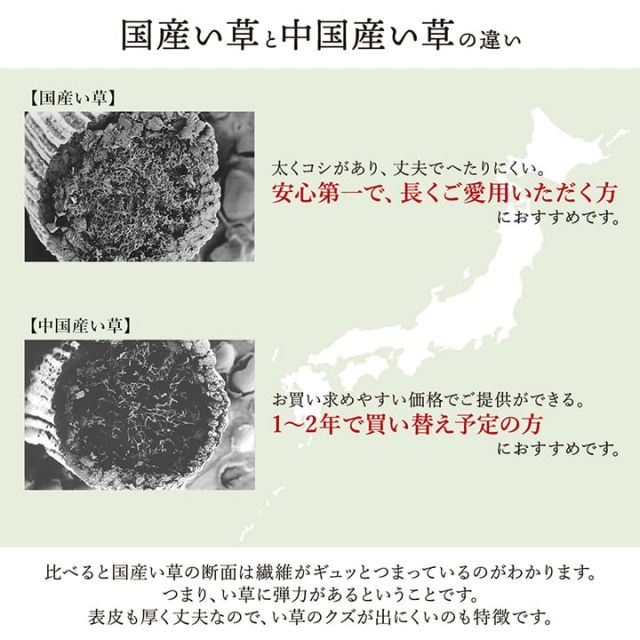 敷物 花ござ 国産 純国産 日本製 い草 掛川織 モダン 抗菌防臭 自然素材 江戸間1畳 約87×174cm
