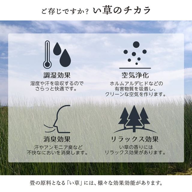 敷物 花ござ 国産 純国産 日本製 い草 掛川織 モダン 抗菌防臭 自然素材 江戸間1畳 約87×174cm