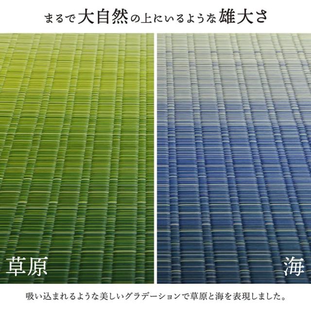 敷物 花ござ 国産 純国産 日本製 い草 掛川織 モダン 抗菌防臭 自然素材 江戸間1畳 約87×174cm