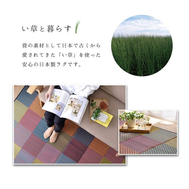 ラグ 純国産 国産 日本製 い草 抗菌防臭 自然素材 モダン 『DXカラフルブロック』 約140×200cm