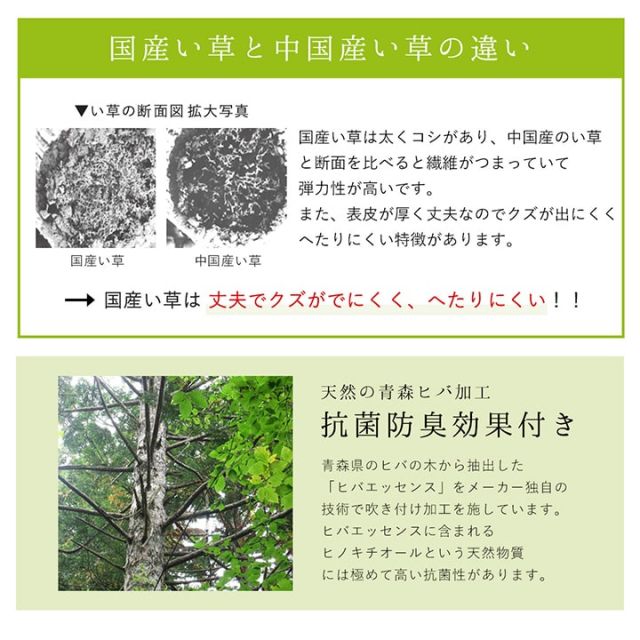 ラグ 純国産 国産 日本製 い草 抗菌防臭 自然素材 モダン 『DXカラフルブロック』 約140×200cm