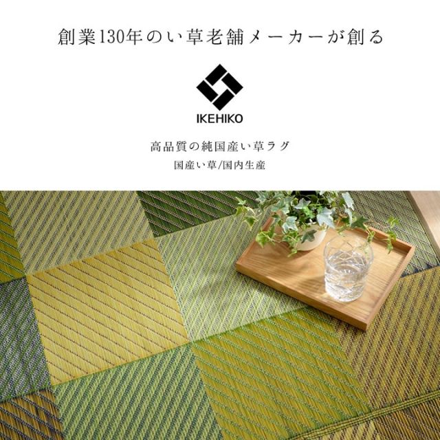 ラグ 純国産 国産 日本製 い草 抗菌防臭 自然素材 モダン 『DXカラフルブロック』 約191×250cm