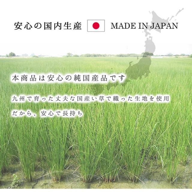 ラグ 純国産 国産 日本製 い草 抗菌防臭 自然素材 モダン 『DXカラフルブロック』 約191×250cm