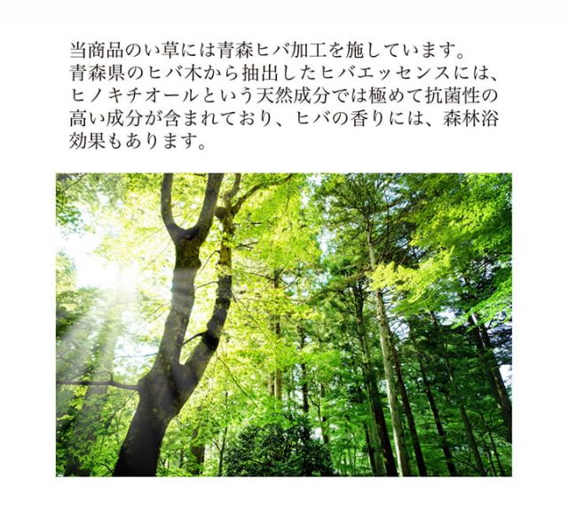堀こたつ 掘りごたつ 堀り 炬燵 い草 ラグ 敷 市松 くり抜き 付属 マジックテープ 連結  裏 不織布  裏 不織布 約191×191cm（中抜き:約90×90cm）